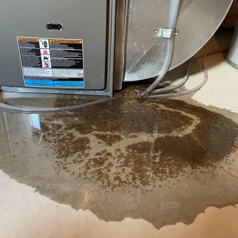 Appliance Leak Cleanup in Shawano, WI